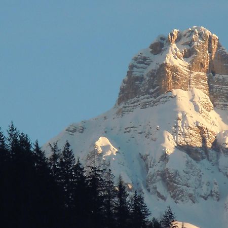 Affittacamere Pizzeria Marmolada Rocca Pietore Exteriér fotografie