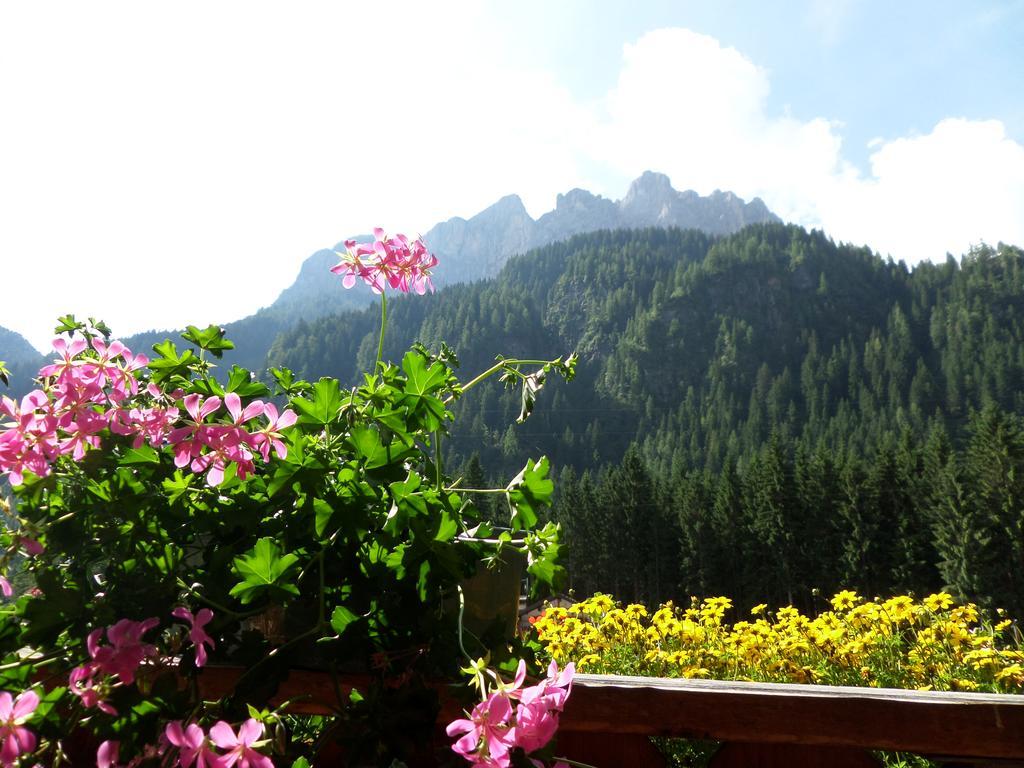 Affittacamere Pizzeria Marmolada Rocca Pietore Exteriér fotografie