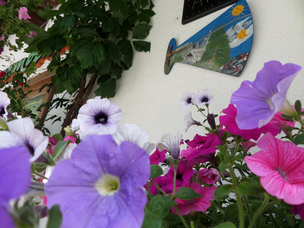 Affittacamere Pizzeria Marmolada Rocca Pietore Exteriér fotografie